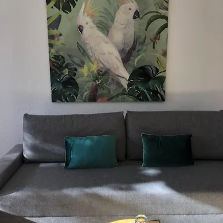 בית הארחה Casa Mallarenga Olivella