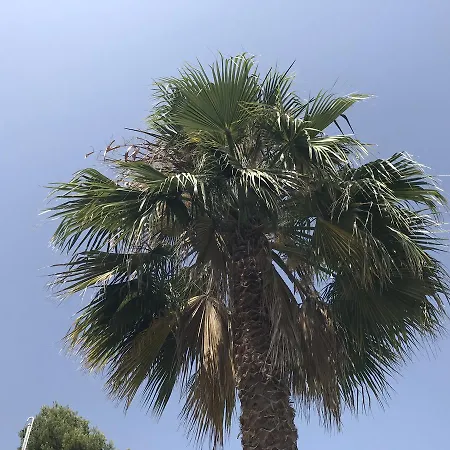 Casa Mallarenga בית הארחה Olivella